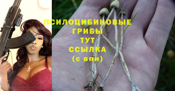 ALPHA-PVP Армянск
