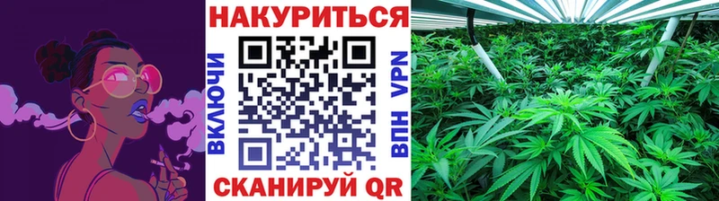 mega зеркало  Кологрив  Каннабис LSD WEED  магазин продажи  